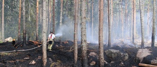 Skogsbrand släcktes efter vattenbombning