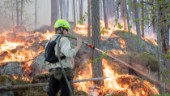 Bränner skogen för att säkra fortsatt liv