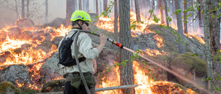 Bränner skogen för att säkra fortsatt liv