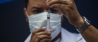 Brasiliansk stad en oas efter massvaccination