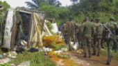 FN: Över 1 200 civila dödade i Kongo-Kinshasa