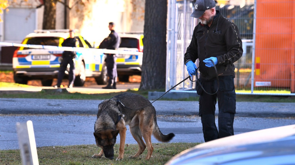 Man Skjuten I Armen I Jordbro – Ingen Gripen