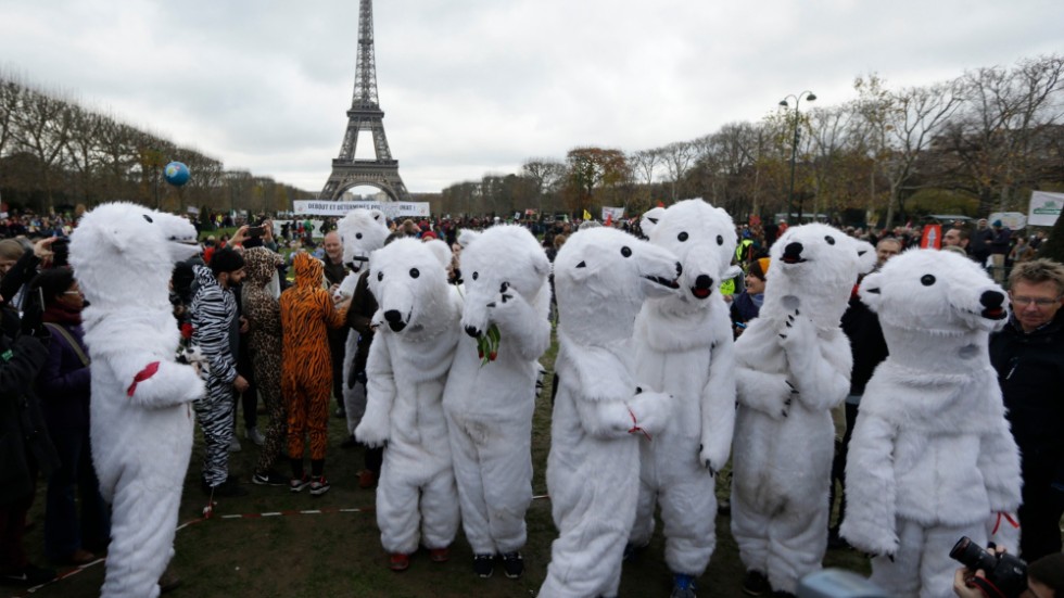 Aktivister i isbjörnsdräkter demonstrerade i närheten av Eiffeltornet när världens länder enades om Parisavtalet den 12 december 2015. Arkivbild.
