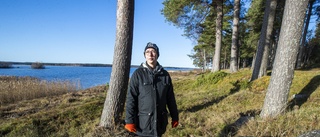 Larmet: Kommunens träd fälls olovligen – för sjöutsikten: "Man blir förbannad"    