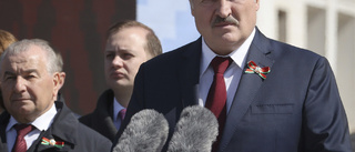 Belarus: Journalisten planerade blodigt uppror