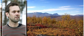 Planen: Fler naturreservat i Norrbotten – för att klara miljömålen: "Måste skydda skogen"