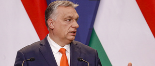 Ungern vill förbjuda "homofrämjande"