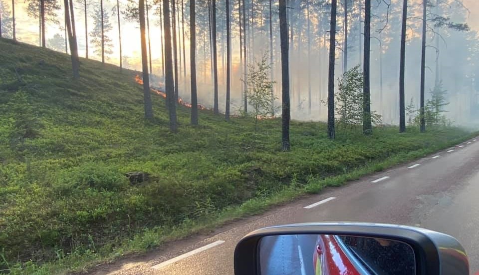 Skogsbranden under söndagen.