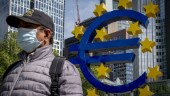 Företagare mer positiva till euron