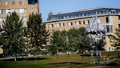 Så många har kommit in på Umeå universitet: ”Ökning jämfört med förra året”