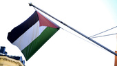 "Ett friare Palestina är möjligt"