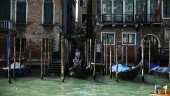 Venedig ska börja ta betalt av dagsbesökare