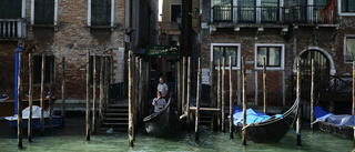 Venedig ska börja ta betalt av dagsbesökare