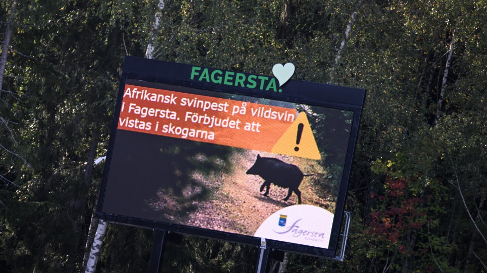 Skylt uppsatt av Fagersta kommun som varnar för afrikansk svinpest på vildsvin i Fagersta. Bild från september.
