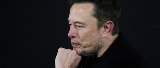 Rykte: Musk ger halv miljon för användarnamn på X