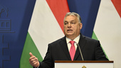 Ungern: Sverige verkar inte prioritera Nato