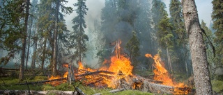 Flest skogsbränder i länet i Valdemarsvik 2022