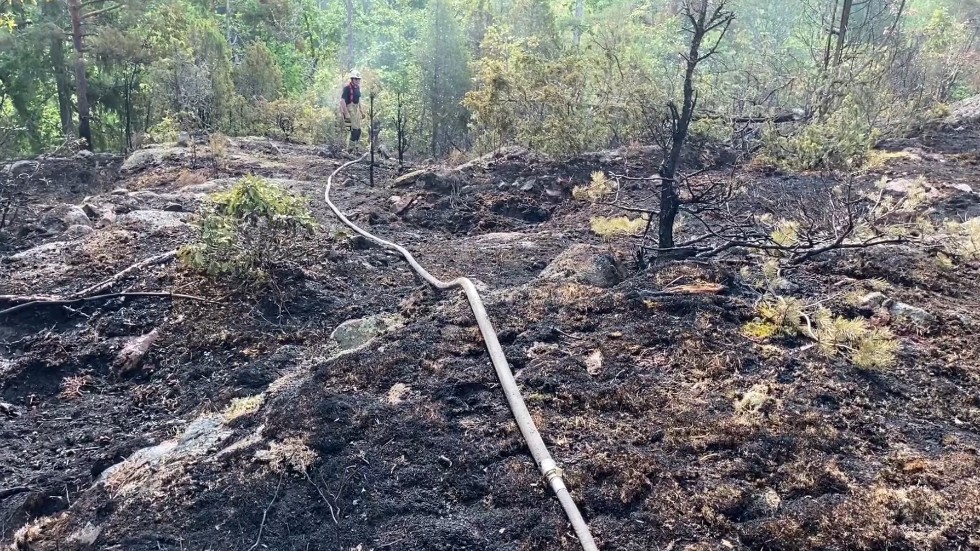 Runt 1,5 hektar skogsmark förstördes i en av förra årets största skogsbränder i Vimmerby kommun som inträffade på Sveaskogs marken söder om Tuna. 