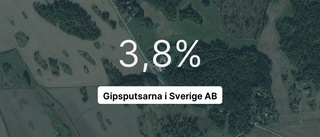 Årsredovisningen klar: Så gick det för Gipsputsarna i Sverige AB