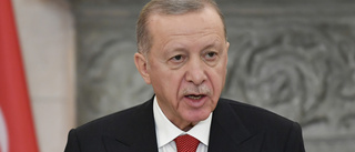 Turkiet: Ingen brådska med Sveriges Natoansökan