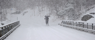 20 centimeter snö väntas i Mellansverige – snöfall även hos oss