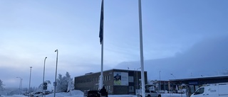 Fyra dödsolyckor på arbetet i Norrbotten förra året