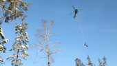 Helikopter i kampen mot träd som fallit över ledningar