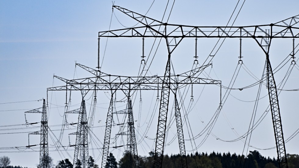 Misstaget innebär relativt låga elpriser i Norden under fredagen, enligt Svenska kraftnät.