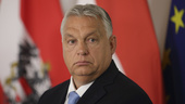Ungern vill stoppa ukrainska EU-förhandlingar