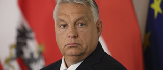 Ungern vill stoppa ukrainska EU-förhandlingar