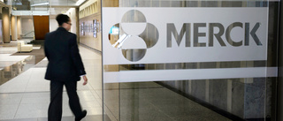 Merck & Co höjer prognosen