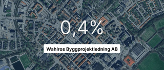 Wahlros Byggprojektledning AB tappade 25,5 procent av intäkterna