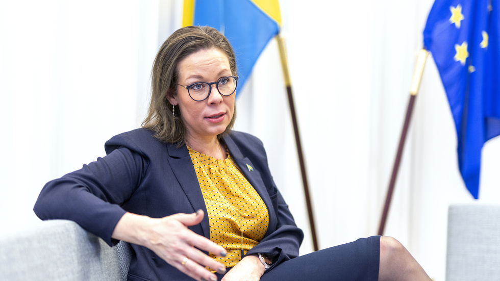 Migrationsminister Maria Malmer Stenergard (M) blir utrikesminister. Det är något annat än att driva fram utvandring.