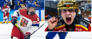 Luleå Hockeys nyförvärv hyllar kaptenen: "Hiirikoski är en levande legendar"