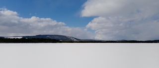 Läsarbilden: Vita vidder         