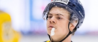 Kalix Hockey värvar – hämtar forward från anrika allsvenska klubben: "Jag är snabb och orädd"