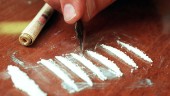 Långa fängelsestraff efter näthandel med droger