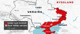 Ukraina ställer in sig på ett långt krig