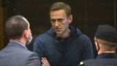 Navalnyjs outtröttliga kamp har bara börjat