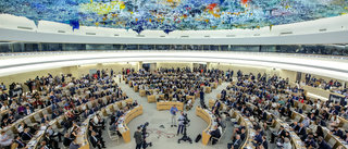 USA vill återvända till FN-råd