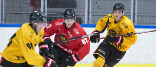 Kalix lånar in fem spelare från Luleå Hockey