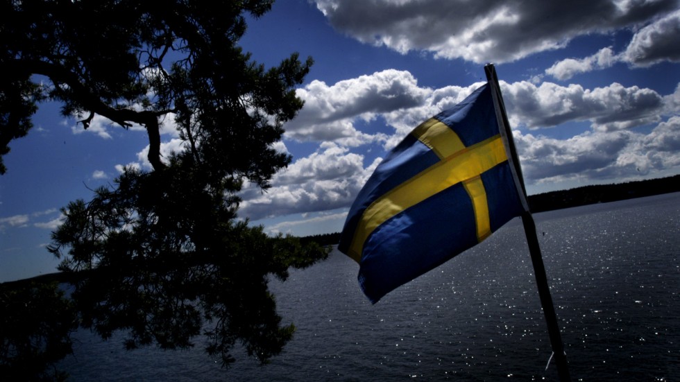Problemet är den verklighet som gäller i Sverige, inte det parti som förvarnat och larmat mest om denna, menar insändarskribenten.