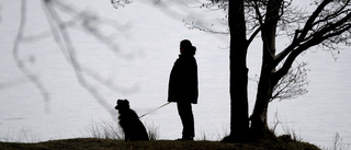 Husse och matte har dömts för djurplågeri