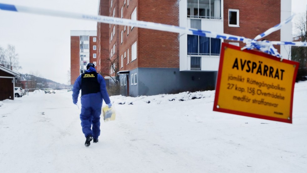 Skribenterna beskriver ett samhälle med ökande ojämlikhet och sociala problem.