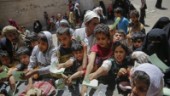 FN varnar för hungersnöd i virusdrabbat Jemen