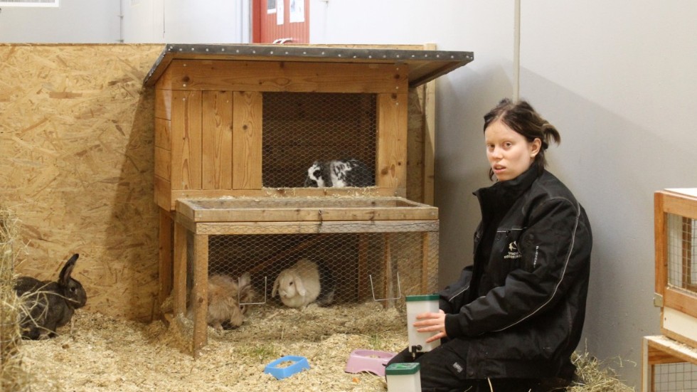 Fanny Lundström tittar in en stund hos kaninerna på Smedstad för att se att de mår bra.