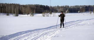 "För en nybörjare var spåren fantastiska"