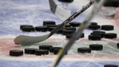 UPPGIFTER: Hon kan bli ny ordförande i Vimmerby Hockey