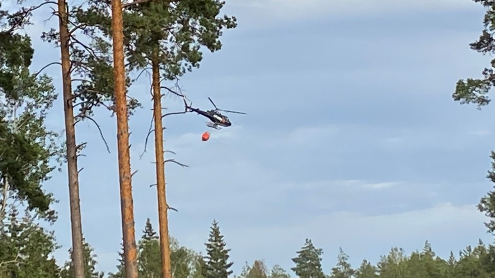 Två helikoptrar åker runt och vattenbombar, för att inte skogsbranden ska sprida sig.