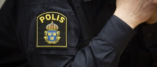 Polis i Norrbotten riskerar varning - agerade som polis i berusat tillstånd